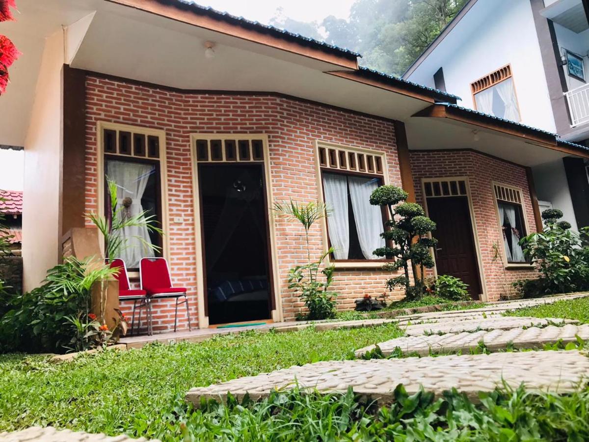 Thomas' Retreat Bukit Lawang Hotell Exteriör bild