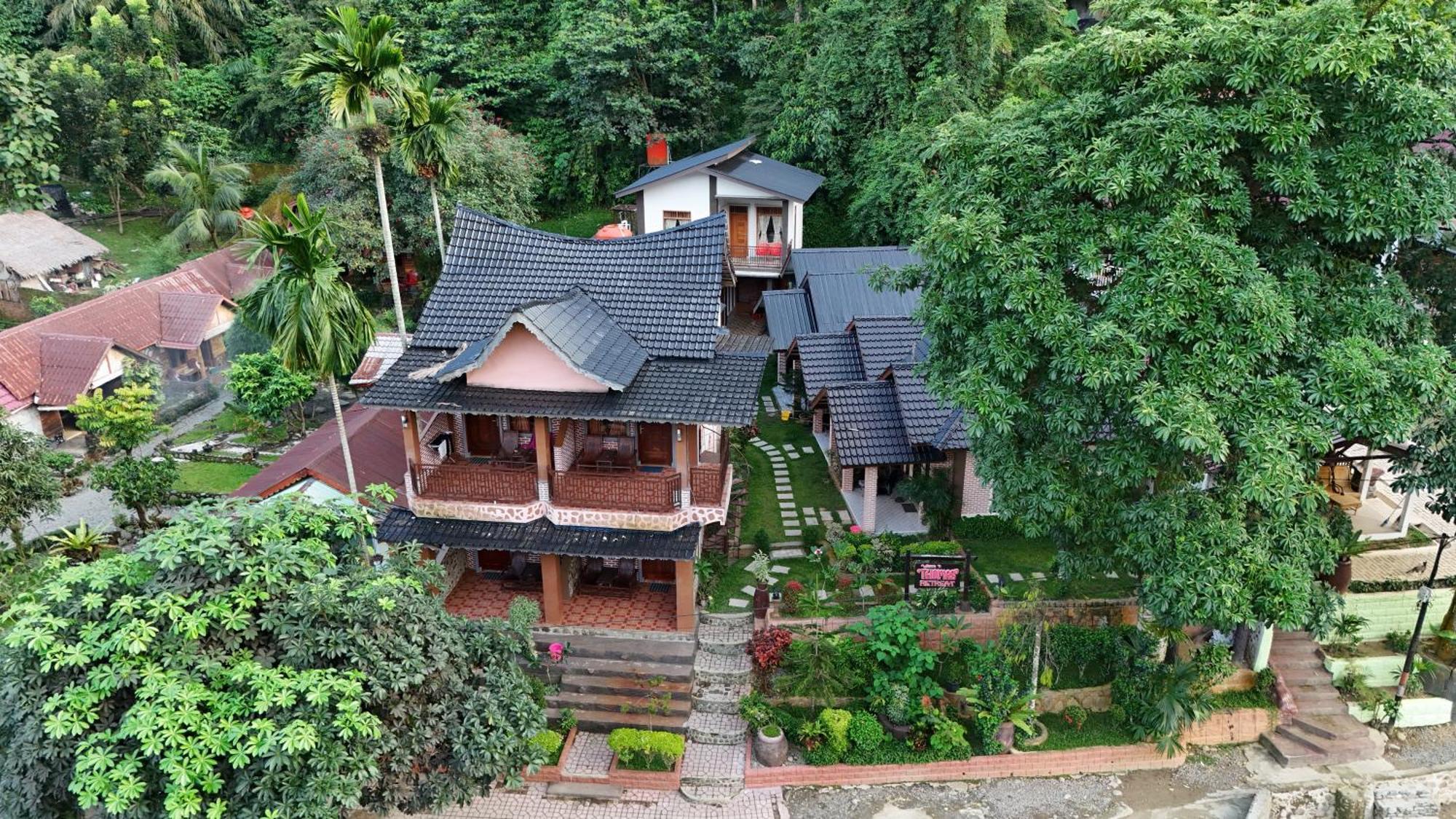 Thomas' Retreat Bukit Lawang Hotell Exteriör bild