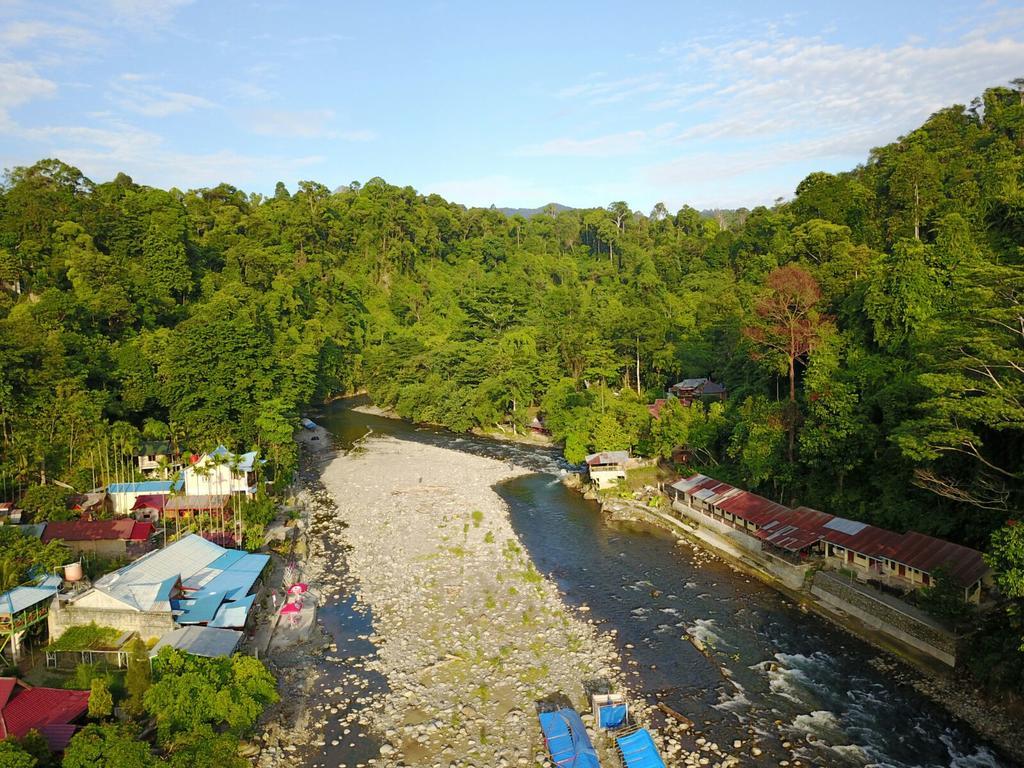 Thomas' Retreat Bukit Lawang Hotell Exteriör bild